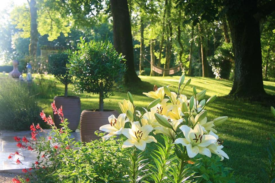 Les Hauts De Saulies Vers  Bagian luar foto